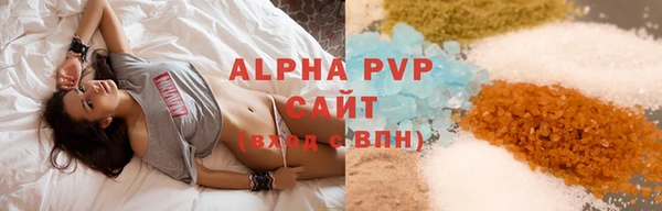 индика Белокуриха