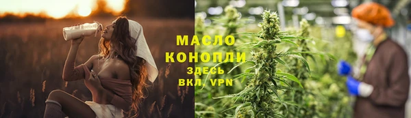 индика Белокуриха