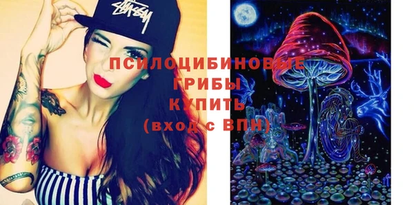 индика Белокуриха