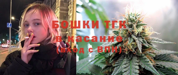 индика Белокуриха