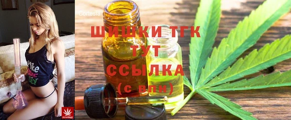 индика Белокуриха