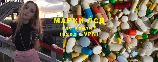 индика Белокуриха