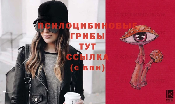 марки nbome Беломорск