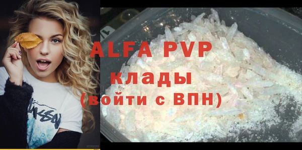 индика Белокуриха