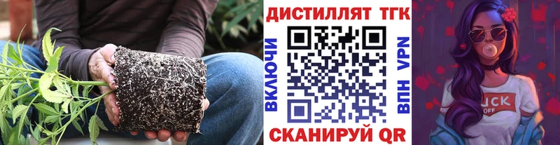 Дистиллят ТГК Wax  Купить где  Окуловка 