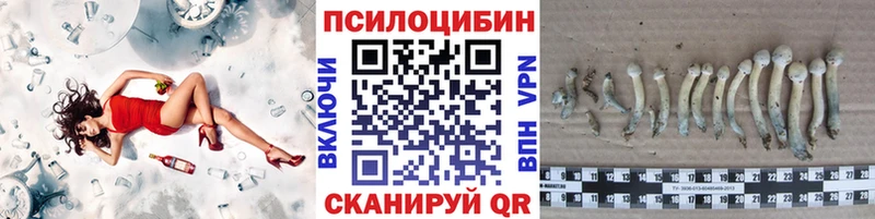 Псилоцибиновые грибы MAGIC MUSHROOMS  Купить  Окуловка 